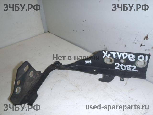 Jaguar X-type (X400) Петля крышки багажника левая