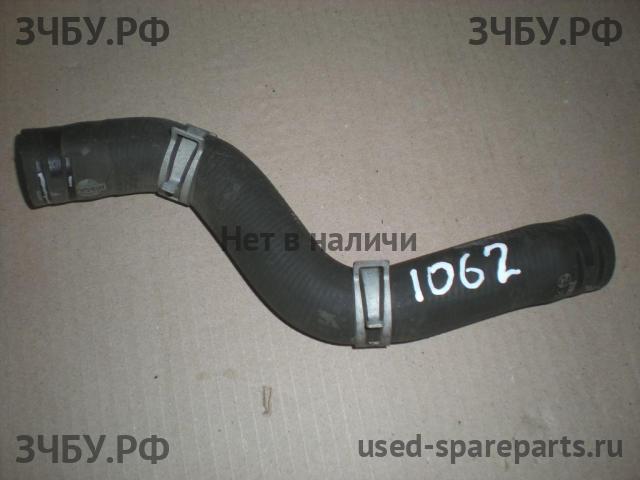 Nissan Primera P12 Патрубок радиатора