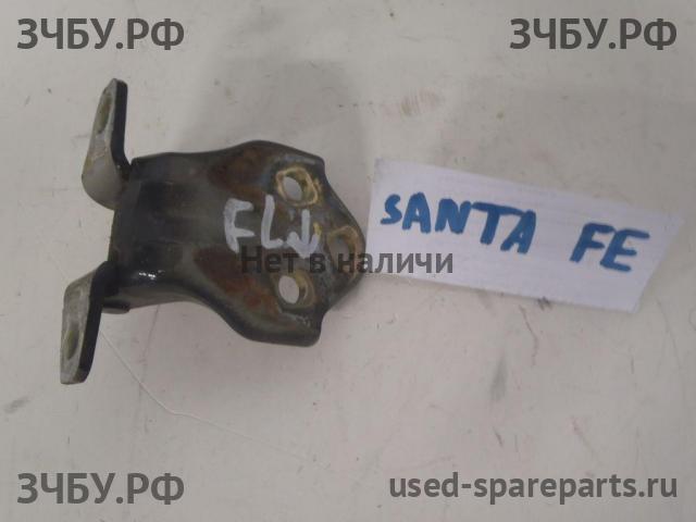 Hyundai Santa Fe 1 (SM) Петля двери передней левой