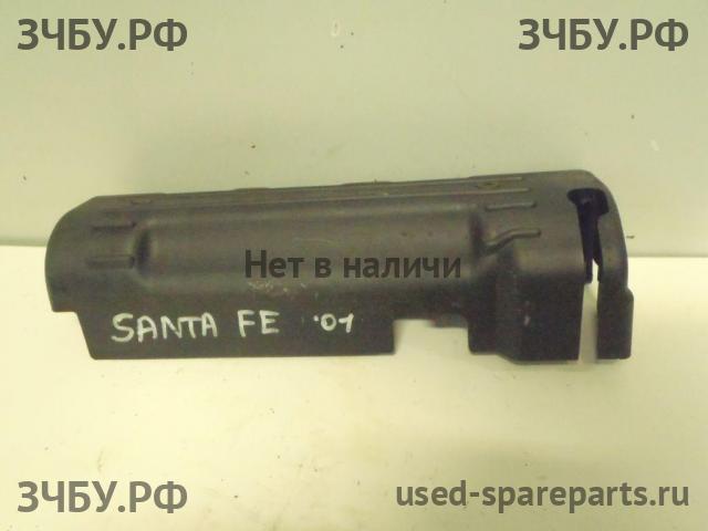 Hyundai Santa Fe 1 (SM) Кожух двигателя (накладка, крышка на двигатель)
