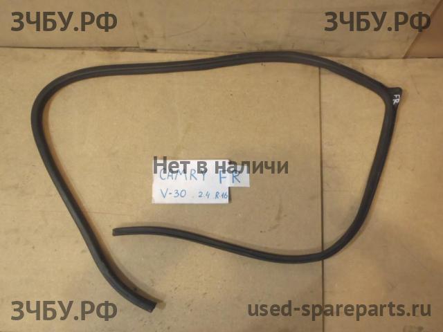 Toyota Camry 5 (V30) Уплотнитель двери