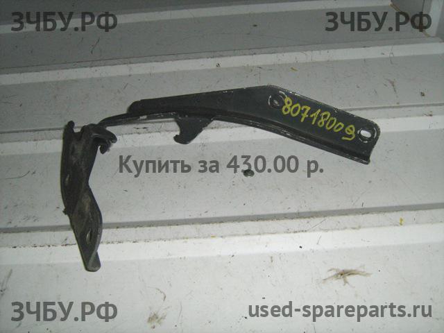 Infiniti FX 35/45 [S50] Петля двери багажника