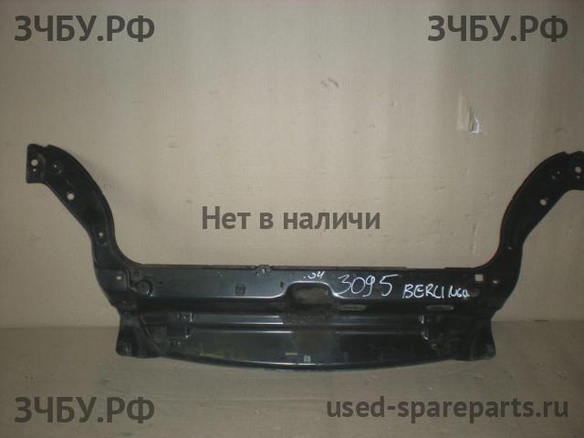 Citroen Berlingo 1 (M59) Рестайлинг Панель передняя (телевизор)