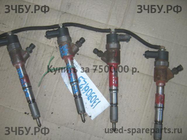 BAW Fenix 1065 (EURO-3) Форсунка дизельная механическая