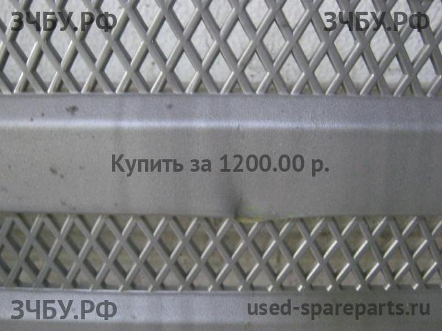 BAW Fenix 1065 (EURO-3) Решетка радиатора