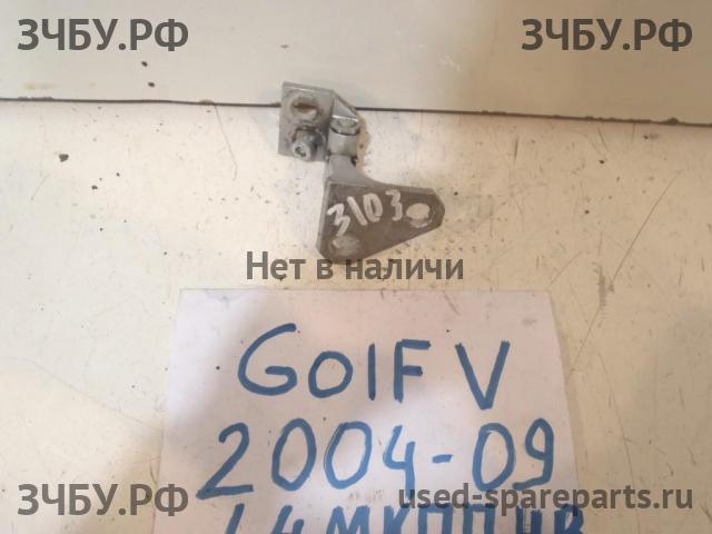 Volkswagen Golf 5 Петля двери передней правой