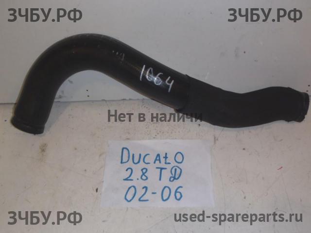 Fiat Ducato 3 Трубка турбины