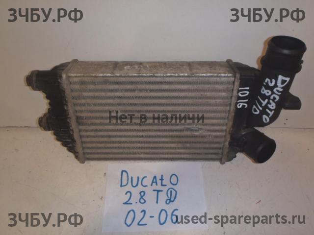 Fiat Ducato 3 Интеркулер