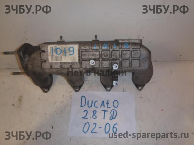 Fiat Ducato 3 Коллектор впускной