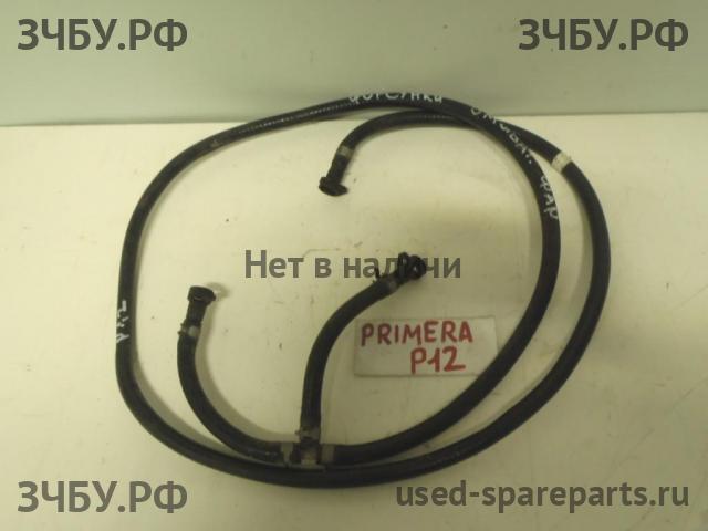 Nissan Primera P12 Ящик
