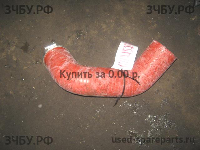 BAW Fenix 1065 (EURO-3) Патрубок