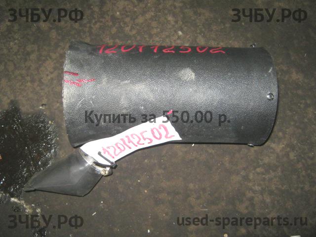 BAW Fenix 1065 (EURO-3) Патрубок